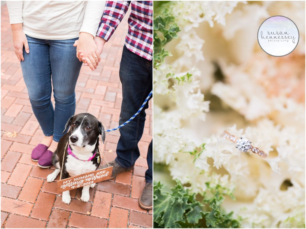Happily engaged couple with their dog at Temple University