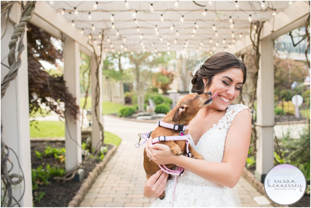 Bride and her dog on her wedding day