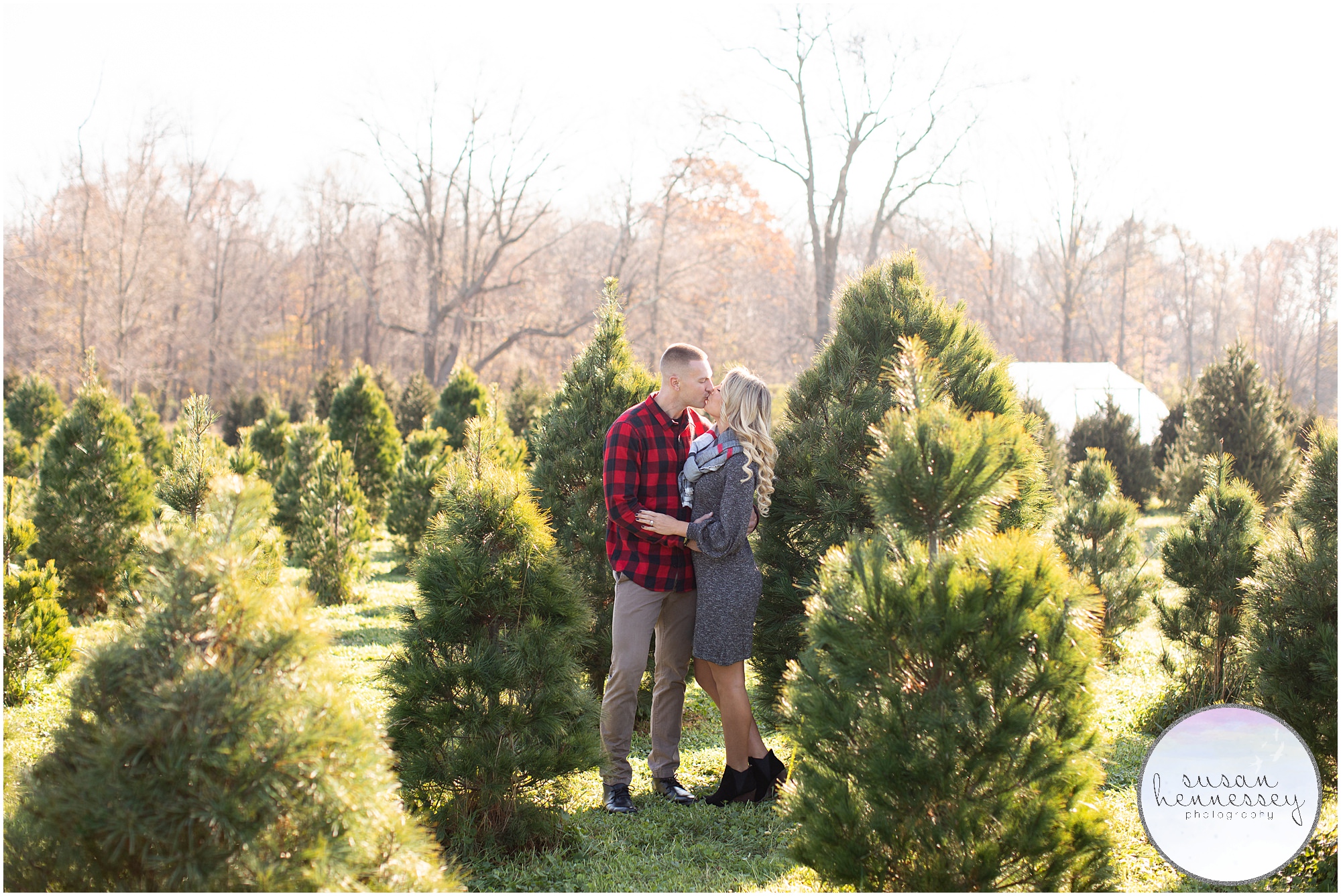 Christmas Tree Farm Photos by Susan Hennessey Photography
