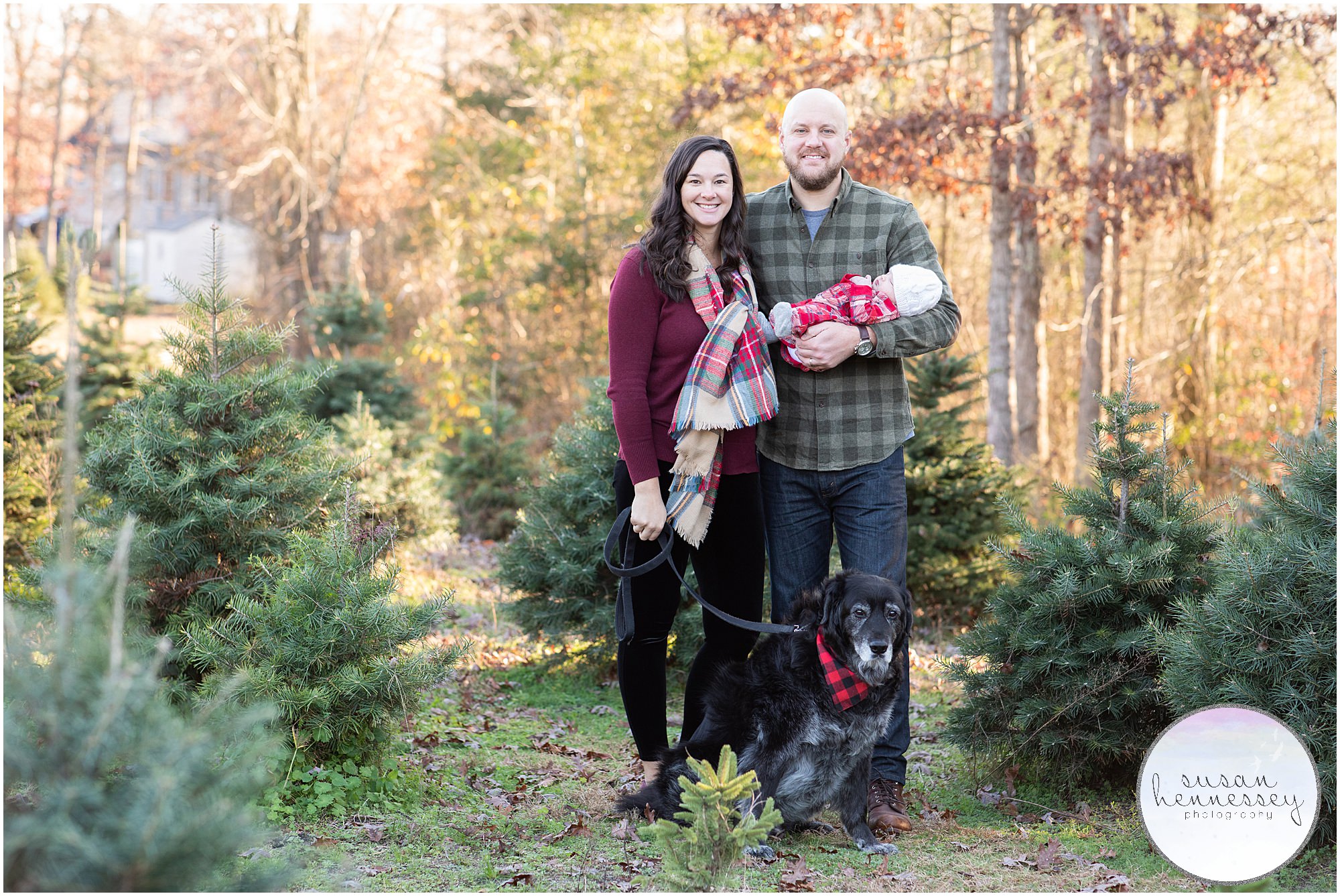 Susan Hennessey Photography, a photographer in South Jersey photographs yearly South Jersey holiday family photo sessions at Christmas Tree Farms.